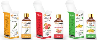 GoWoo Pack of 3 Eucalyptus, Grapefruit & Ylang Ylang Essential Oil(30 ml)