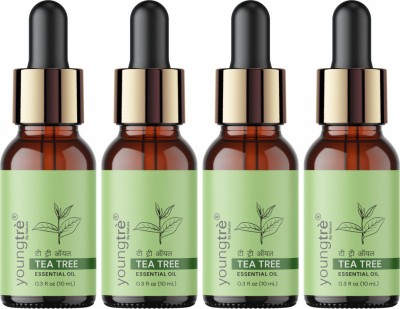 Youngtre Young tre Tea Tree Natural Essential oil for Strong Healthy Hair | Pack Of 3(10 ml)