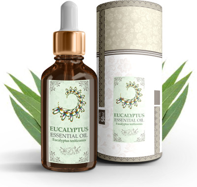Ser de Tija Eucalyptus Essential Oil(50 ml)