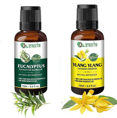 Zazla Essential Oil Eucalyptus & Ylang-Ylang(24 ml)