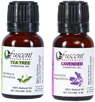 FUSCENT Essential Oil Pack of 2 Tea Tree And Lavender Combo Pure And Natural Undiluted(20 ml)