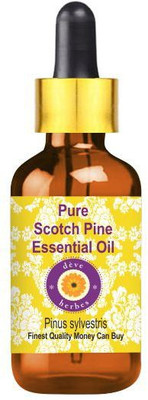 deve herbes Pure Scotch Pine Essential Oil (Pinus sylvestris) Glass Dropper Steam Distilled(5 ml)