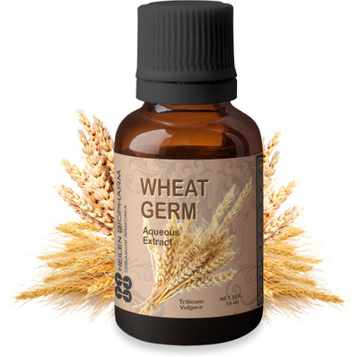 HEILEN BIOPHARM Wheat Germ Essential Oil - 15 ml, Aqueous Extract (Triticum Vulgare)(15 ml)