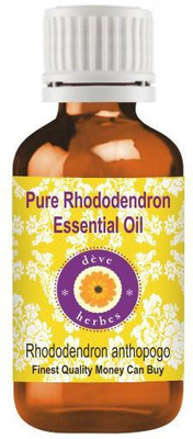 deve herbes Pure Rhododendron Essential Oil (Rhododendron anthopogo) Steam Distilled(30 ml)