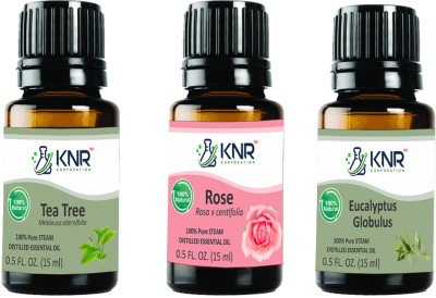 KNR CORPORATION Rose Eucalyptus & Tea Tree Essential oil for Skin, Hair -15 ml Each (Combo pack)(45 ml)