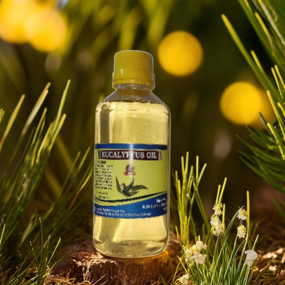 house of common Eucalyptus Oil 100ML(100 ml)
