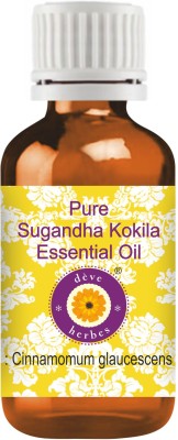 deve herbes Pure Sugandha Kokila Essential Oil 100ml (Cinnamomum glaucescens)(100 ml)