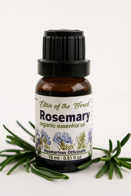 Elixir of the Forest Rosemary Essential Oil | Gulmehndi Oil | Hair Growth & Scalp Nourishment(10 ml)