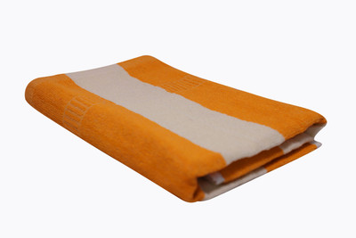 DECORHUB Terry Cotton 380 GSM Bath, Beach, Sport, Hand Towel(Pack of 2)