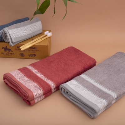 Ritchies Lifestyle Bamboo 450 GSM Bath, Beach, Sport Towel Set(Pack of 2)