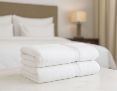Abony Global Cotton 350 GSM Hand Towel Set(Pack of 2)