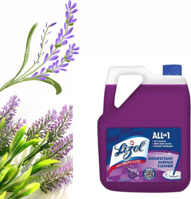Lizol Value for Money hard floor disinfectant cleaner Lavender(5 L)