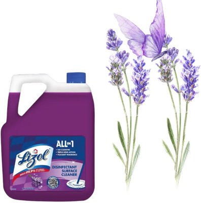 Lizol Disinfectant Surface & Floor Cleaner Liquid, Lavender rose(5 L)