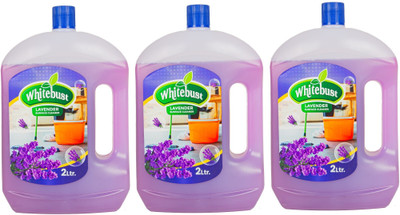 Whitebust Disinfectant Floor cleaner liquid lavender(3 x 2 L)
