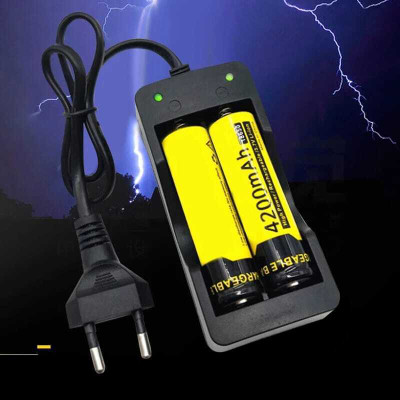 BLUELEX GaN 4.2 A Dual Port Camera Charger(Black)