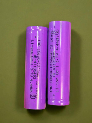 Sagaft A202 1300 mAh 18650 Lithium-Ion Rechargeable for Multi-Purpose  Battery(Pack of 2)