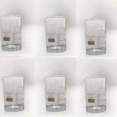 SCIENTICOHOUSE 250 ml Low Form Beaker(Pack of 6)