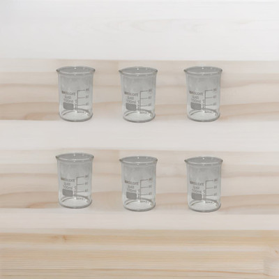 SCIENTICOHOUSE 100 ml Low Form Beaker(Pack of 6)