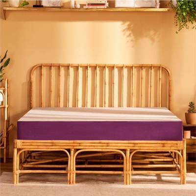 Wakefit Latex Plus 8 inch King Latex Foam Mattress