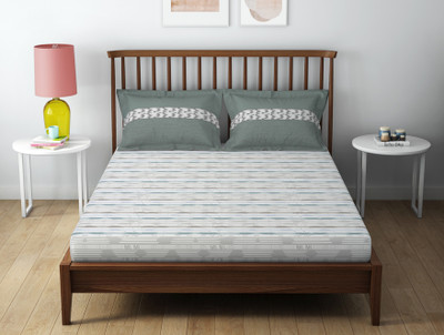 SPACES 132 TC Cotton Queen Printed Flat Bedsheet(Pack of 1, Blue)