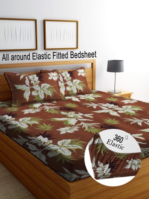 RisingStar 200 TC Microfiber King Floral Fitted (Elastic) Bedsheet(Pack of 1, Brown)