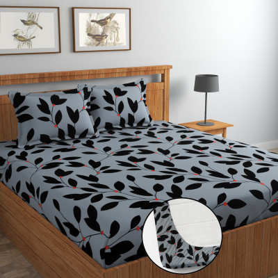 Shivi Creation Cotton King Fitted (Elastic) 170 TC Printed Bedsheet(Pack of 1, Multicolor)