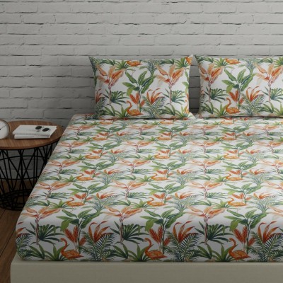 Huesland 144 TC Cotton Double Striped Flat Bedsheet(Pack of 1, Flamingo - Orange)