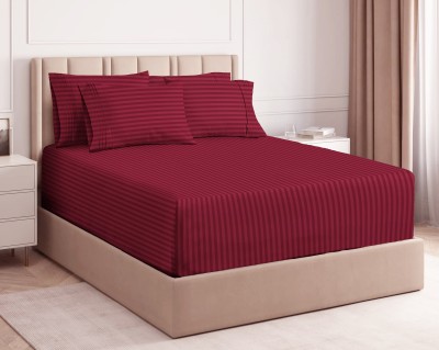 BSB HOME 220 TC Cotton King Solid Fitted (Elastic) Bedsheet(Pack of 1, Maroon)