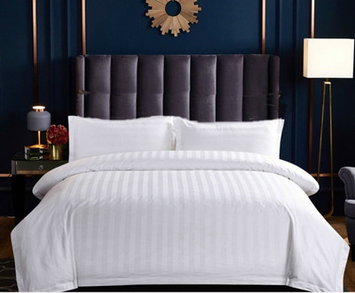 Rivik Cotton King Flat 220 TC Striped Bedsheet(Pack of 1, White)