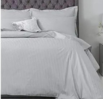 rivek 240 TC Cotton Double Striped Flat Bedsheet(Pack of 1, White)