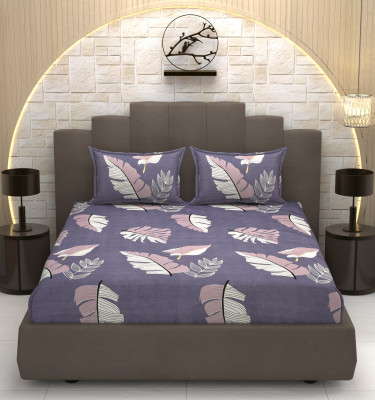 OSONICTEXTILE 254 TC Cotton Double Printed Fitted (Elastic) Bedsheet(Pack of 1, Purple)