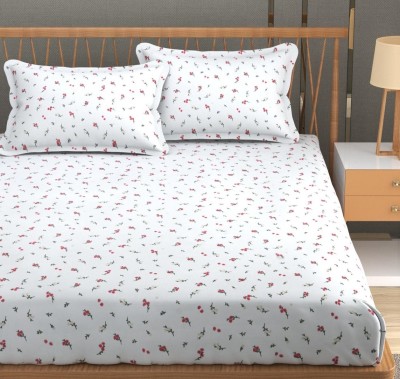 TINDLER KNOTS 300 TC Cotton King Printed Fitted (Elastic) Bedsheet(Pack of 1, White, Red)
