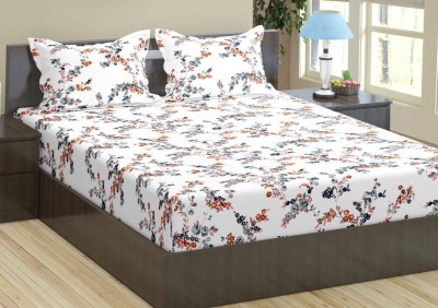 Trance Home Linen 180 TC Cotton King Printed Flat Bedsheet(Pack of 1, Nile Peach)