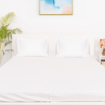 Oyvu Cotton Queen Fitted (Elastic) 300 TC Solid Bedsheet(Pack of 1, White Pintuck)