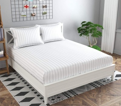 n g products 310 TC Satin Double Striped Fitted (Elastic) Bedsheet(Pack of 1, White)