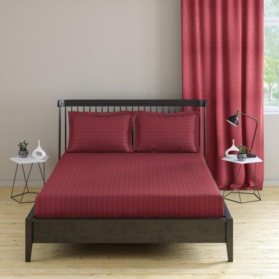 Pro Linen 210 TC Cotton Queen Striped Flat Bedsheet(Pack of 1, Burgandy)