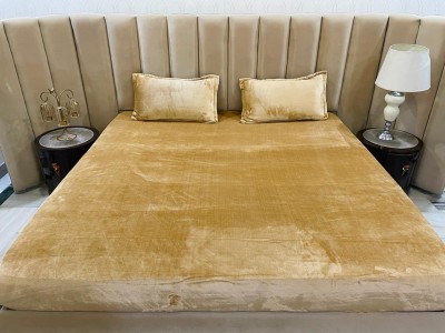 Byloom 290 TC Velvet King Solid Fitted (Elastic) Bedsheet(Pack of 1, Gold)