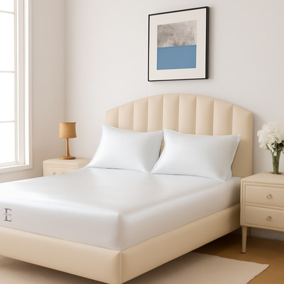 Edmund Satin Queen Fitted (Elastic) 400 TC Solid Bedsheet(Pack of 1, White)