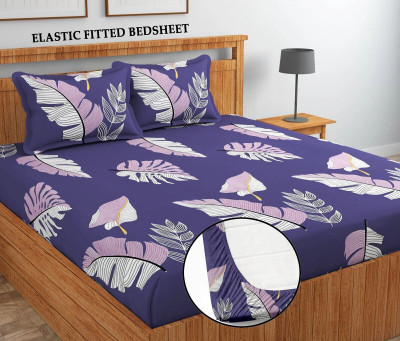 Moonroof Cotton King Fitted (Elastic) 255 TC Printed Bedsheet(Pack of 1, Purple Pankh)