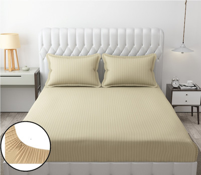 RADRUGS 280 TC Cotton Double Striped Fitted (Elastic) Bedsheet(Pack of 1, Beige)