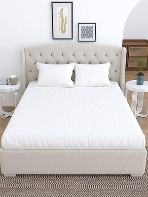 LINENWALAS 210 TC Cotton Single Striped Flat Bedsheet(Pack of 1, Off White)