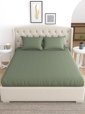 LINENWALAS 210 TC Cotton Single Striped Flat Bedsheet(Pack of 1, Avocado Green)