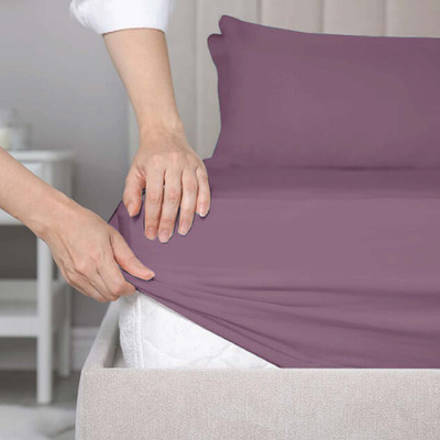 SleepyCat Cotton King Fitted (Elastic) 200 TC Solid Bedsheet(Pack of 1, Purple Panther)