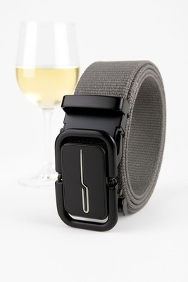 PROVOGUE Men Casual, Evening, Formal, Party Grey Nylon Belt