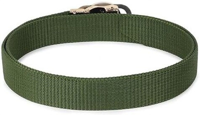TPM Men Casual, Evening, Formal, Party Multicolor Fabric Belt