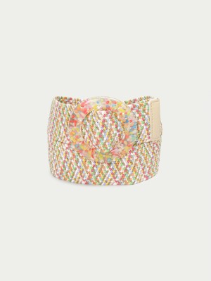 Ginger by Lifestyle Women Multicolor Synthetic Belt