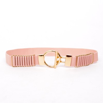 REDHORNS Women Casual, Evening, Formal, Party Pink Fabric Belt