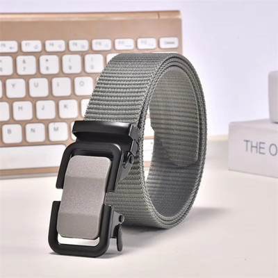 Artisanwear Men Casual Grey Nylon Belt