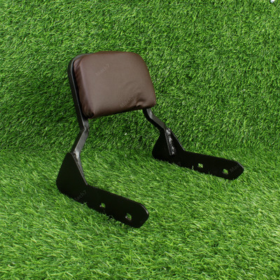 alphaten Adjustable Passenger Backrest