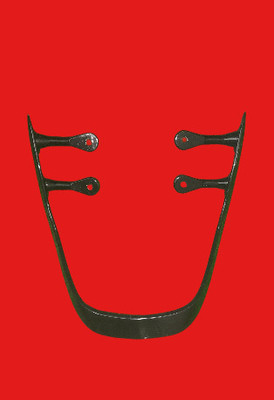 pnk STYLISH HEAVY S ROD OPEN LEG GUARD Bike Crash Guard_145(Hero)